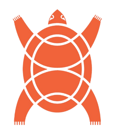 Orange Turtle