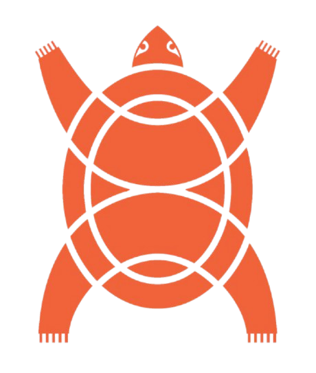 Orange Turtle